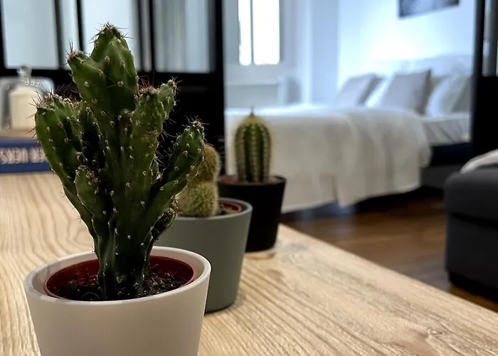 Appartement Superbe Palais Des Congres *