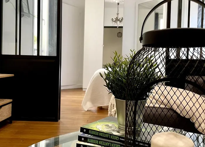 Appartement Superbe Palais Des Congres